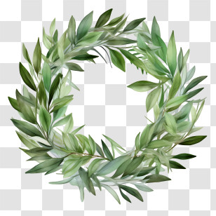 Olive Wreath - Green Leaf Wreath As A Nature-Inspired Decoration Transparent PNG