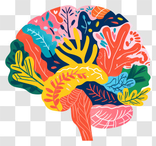 Brain Mind - Colorful Brain Illustration Transparent PNG
