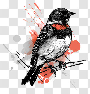 Bird Day - Bird With Red Chest On Branch Transparent PNG