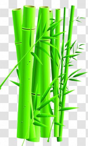 Zongzi Dragon Boat Festival U7aefu5348 Traditional Chinese Holidays - Bamboo Transparent PNG