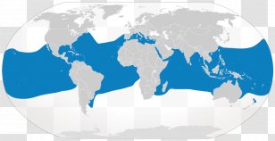 World Map Globe Vector Graphics - Drawing Transparent PNG