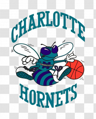 Charlotte Hornets Logo - Charlotte Hornets Basketball Team Logo Transparent PNG