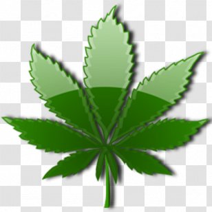 Cannabis Sativa Leaf Drug Endocannabinoid System - Cannabaceae - Weed Transparent PNG