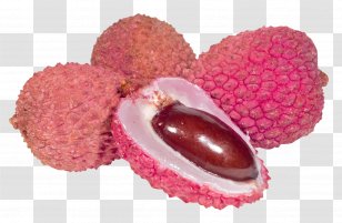 Lychee Fruit Dates - Tree Transparent PNG