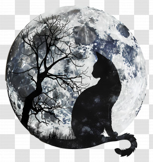 Cat Silhouette - Cat Silhouette With Full Moon Transparent PNG