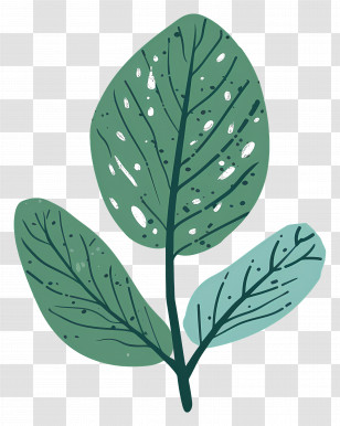 Leaf Mint - Green Leaves Illustration Transparent PNG
