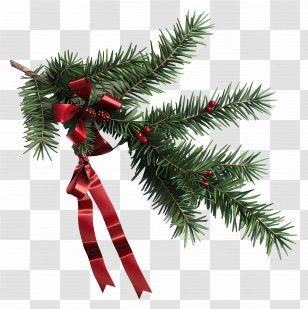 Christmas Tree Branch - Christmas Branch With Red Ribbon Transparent PNG
