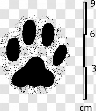Cat Chihuahua Paw Pet Dog Grooming - Gift Transparent PNG