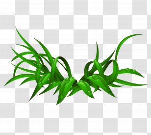 Iron-on Desktop Wallpaper Photography Clip Art - Flowerpot - Bamboo Transparent PNG