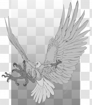 Eagle Drawing Image Sketch Digital Art - Beak Transparent PNG