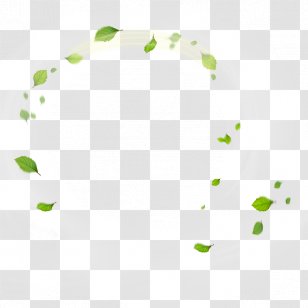Leaf Green Designer - Yellow - Leaves Ring Transparent PNG