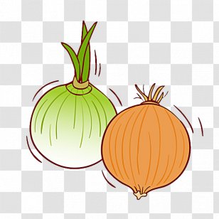 Calabaza Pumpkin Onion Vegetable Illustration - Garlic Transparent PNG