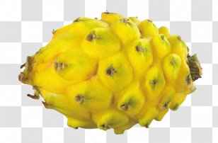 Hylocereus Undatus Pitaya Auglis Yellow Seed - Red - Dragon Fruit Transparent PNG