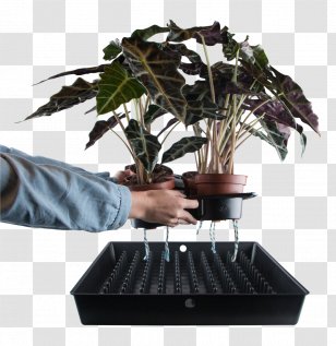 Flowerpot Plastic Waste Houseplant Viscon Group - Tree - Plant Transparent PNG