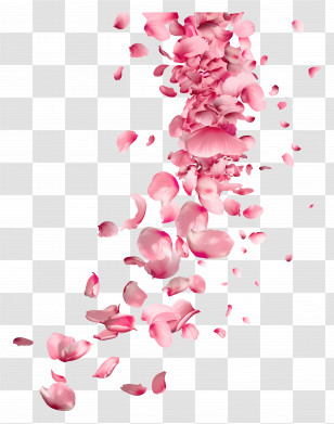 Falling Flowers - Falling Pink Rose Petals In Motion Transparent PNG