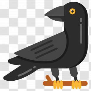 Raven - Black Crow On A Branch Transparent PNG
