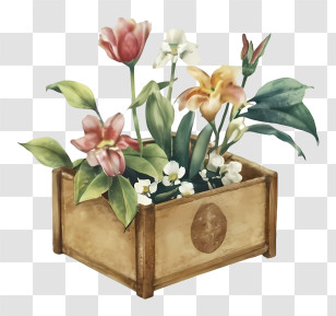 Watercolor Painting - Wooden Box With Flowers Transparent PNG