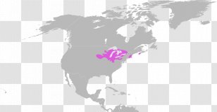Organisation Of Islamic Cooperation World Organization Country - Christianity - Islam Transparent PNG