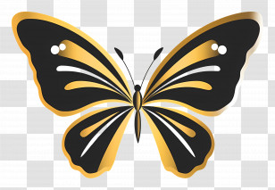 Butterfly Logo - Luxurious Black And Gold Butterfly Transparent PNG
