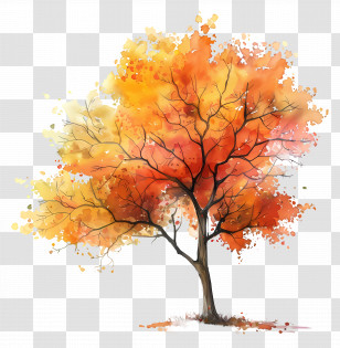 Watercolor Tree Plan - Autumn Tree With Colorful Leaves Transparent PNG