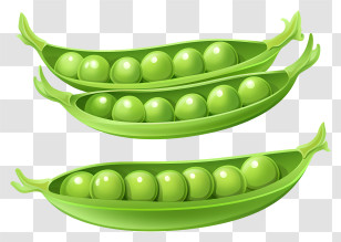 Peas - Fresh Green Pea Pod Illustration Transparent PNG