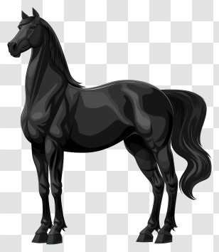 Black Horse - Majestic Black Horse Illustration Transparent PNG