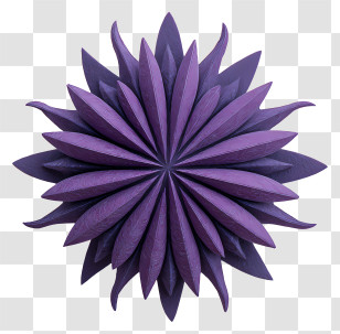 Purple Sea Urchin Shell - Purple Starburst Paper Rosette Transparent PNG