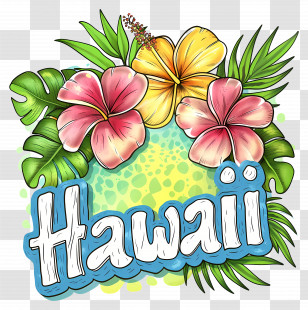 Hawaii - Tropical Hawaii Illustration With Flowers Transparent PNG