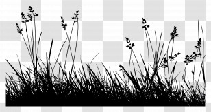 Meadow Grass - Wild Grass Silhouette In Minimal Black Outline Transparent PNG