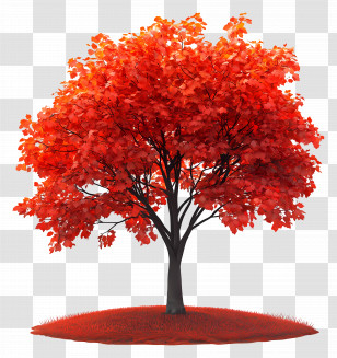 September Equinox - Red Leaf Tree Representing Autumn Season Transparent PNG