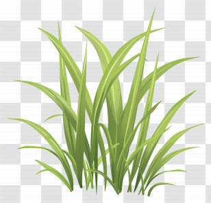 Grass Blade - Bright Green Grass For Spring Gardens Transparent PNG