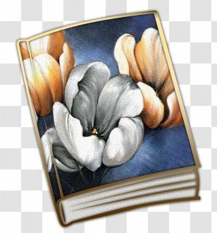 Picture Frames Flowering Plant - Diary Dark Transparent PNG