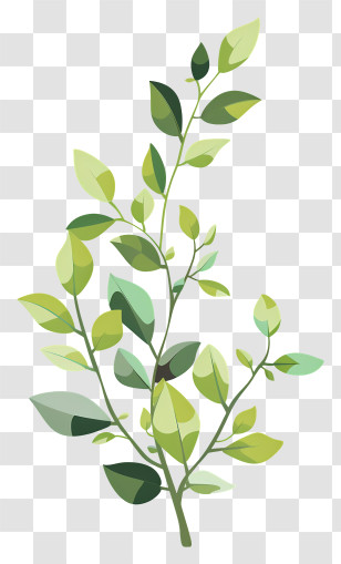Large Light Green Curved Twig - Fresh Green Leafy Branch Illustration Transparent PNG