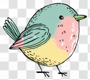 Doodle Bird - Cute Pastel Bird Sketch Illustration Transparent PNG