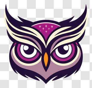 Cartoon - Colorful Purple And Yellow Owl Illustration Transparent PNG
