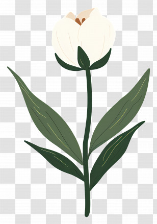 Single Flower - Beautiful White Flower With Green Stem And Leaves Transparent PNG