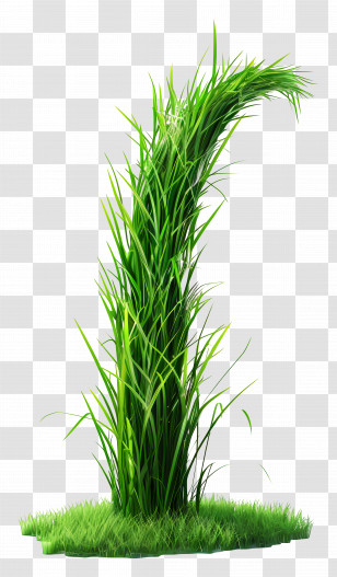 Grass Plant - Bright Green Grass For Spring Gardens Transparent PNG