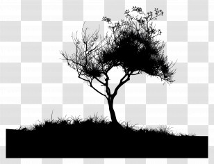 Tree Silhouette - Tree Silhouette With Grass And Branches Transparent PNG