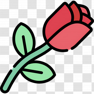 Rose Flower - Red Rose Illustration Symbolizing Love Transparent PNG