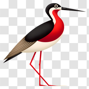 Striking Wader Bird - Cartoon Bird With Long Red Beak Transparent PNG