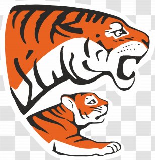 Siberian Tiger Animal Endangered Species Threatened - Rare Transparent PNG