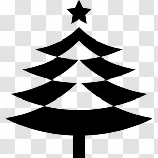 Christmas Tree Spruce Pine - Woody Plant - Star Shape Transparent PNG