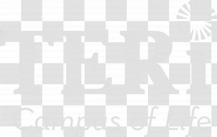 Logo Brand Font - Text - Copy Center Transparent PNG