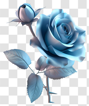 Blue Rose - Beautiful Blue Rose With Bud Illustration Transparent PNG