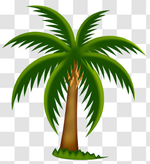 Leaf - Tropical Palm Tree Cartoon Drawing Transparent PNG