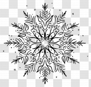 Snowflake Outline - Black Intricate Snowflake For Holidays Transparent PNG