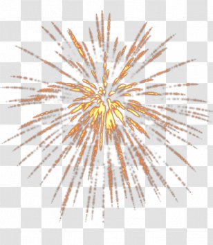 Fireworks Victory Day Clip Art - Adobe - Golden Transparent PNG