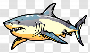 Bull Shark - Cartoon Shark Illustration In Fun Style Transparent PNG