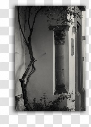 Still Life Photography Window Facade - Column Transparent PNG