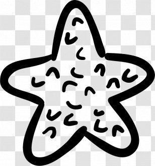 Starfish Sea Euclidean Vector Shape - Leaf Transparent PNG